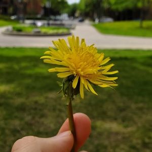 Meet your Posher, Andrew